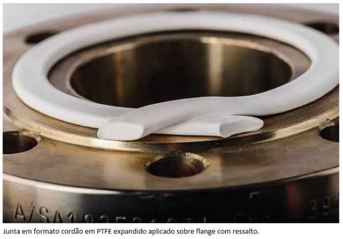 PTFE Expandido